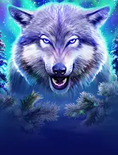 Wolf Haven 96