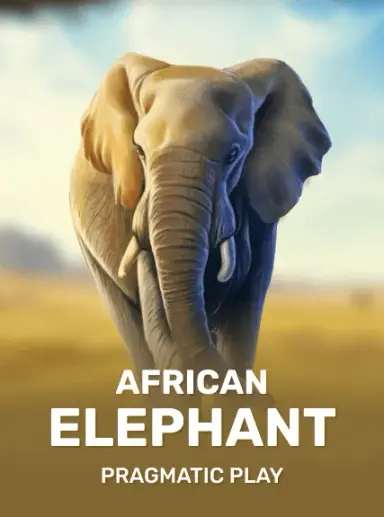 African Elephant