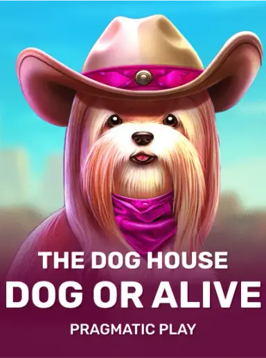 The Dog House – Dog or Alive