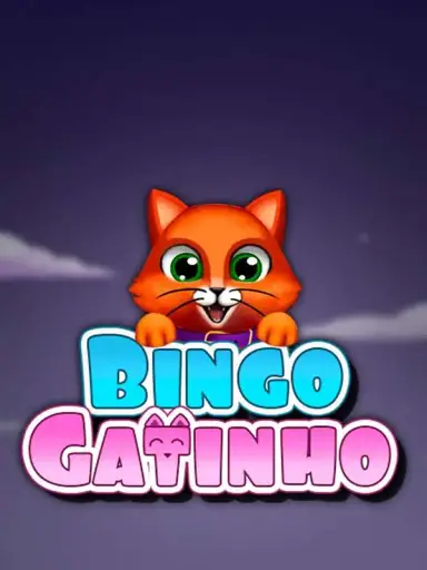 Bingo Gatinho