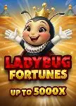 Ladybug Fortunes
