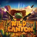 Wild Canyon