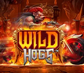 Wild Hogs