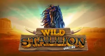 Wild Stallion