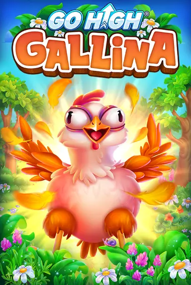 Go High Gallina 88
